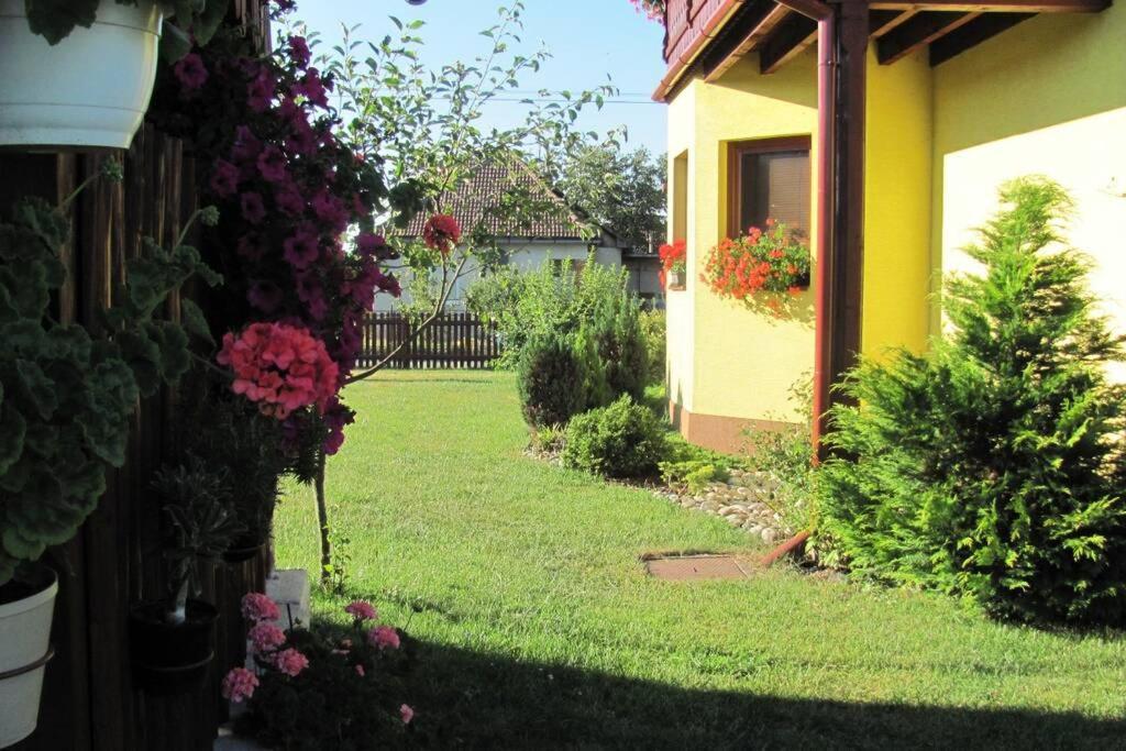 Turčianske Teplice Apartman Adrianka מראה חיצוני תמונה