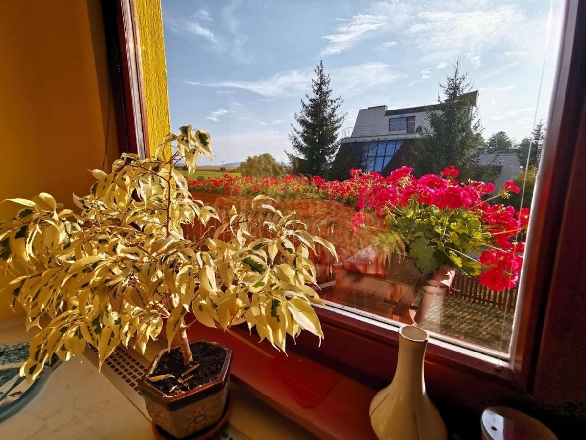 Turčianske Teplice Apartman Adrianka מראה חיצוני תמונה